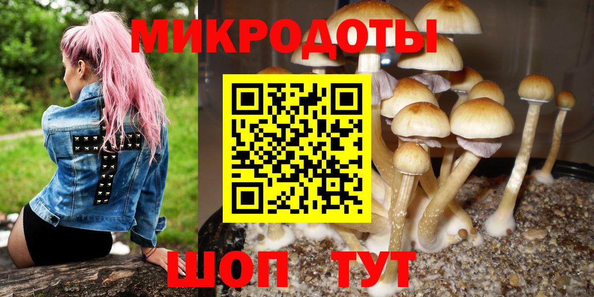 Галлюциногенные грибы Magic Shrooms Зерноград